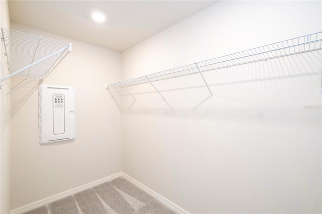 spacious closet featuring carpet floors and electric panel