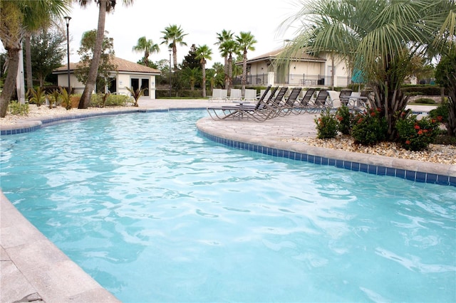 view of swimming pool