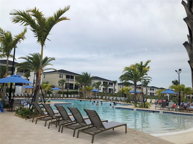 view of swimming pool with a patio