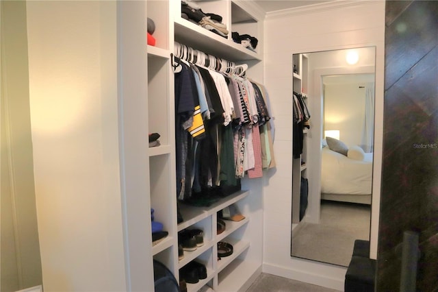 view of walk in closet