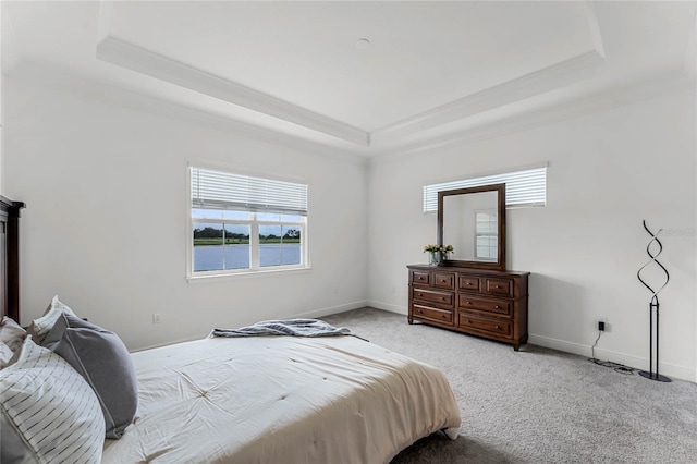 carpeted bedroom with a tray ceiling and a water view