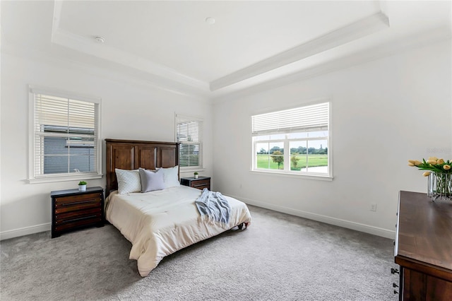 bedroom with a raised ceiling and light carpet