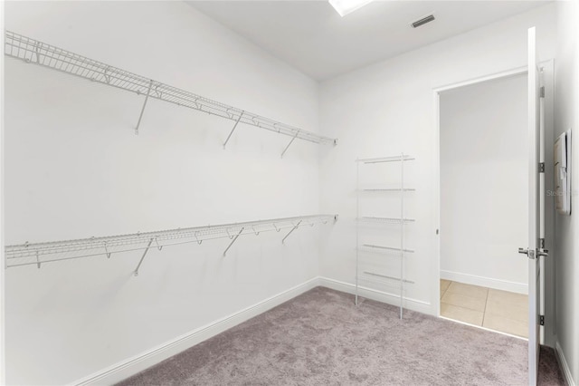 spacious closet featuring carpet