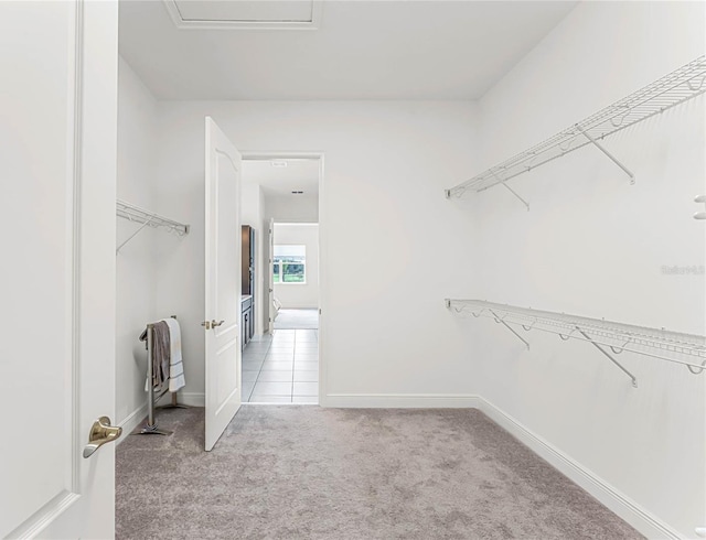 spacious closet featuring light carpet