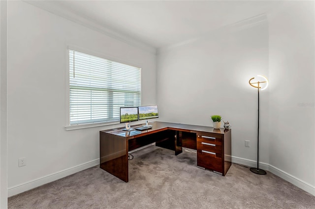 carpeted office with crown molding