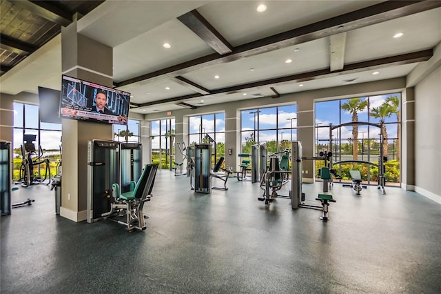 exercise room with plenty of natural light