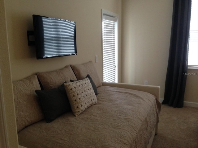 bedroom with carpet flooring