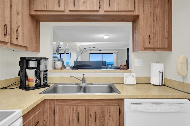 kitchen with sink, range, and dishwasher