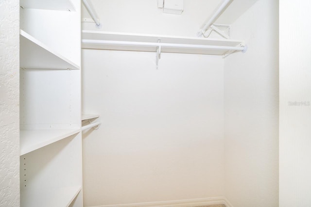 view of walk in closet