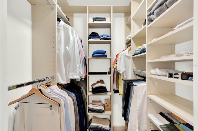 view of spacious closet
