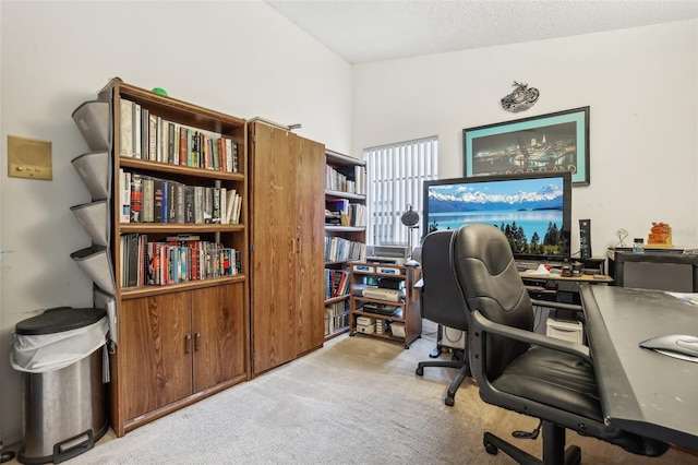 office area featuring light carpet and a textured ceiling