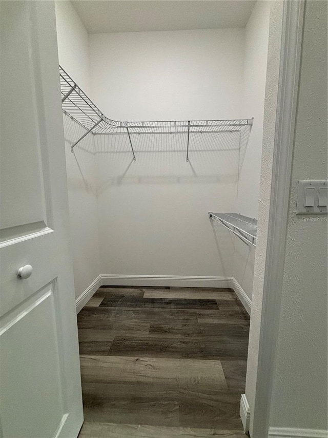 walk in closet featuring dark wood-type flooring