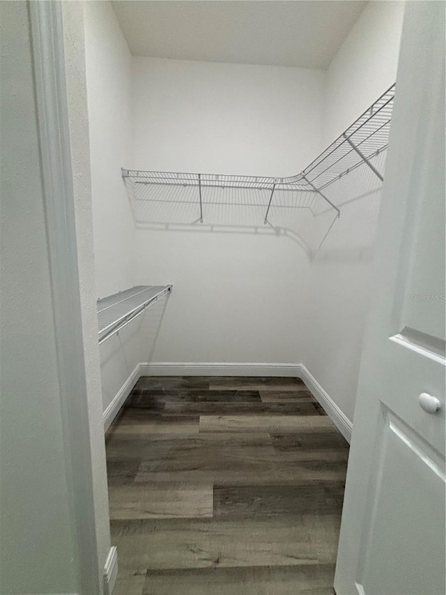 spacious closet featuring dark hardwood / wood-style flooring