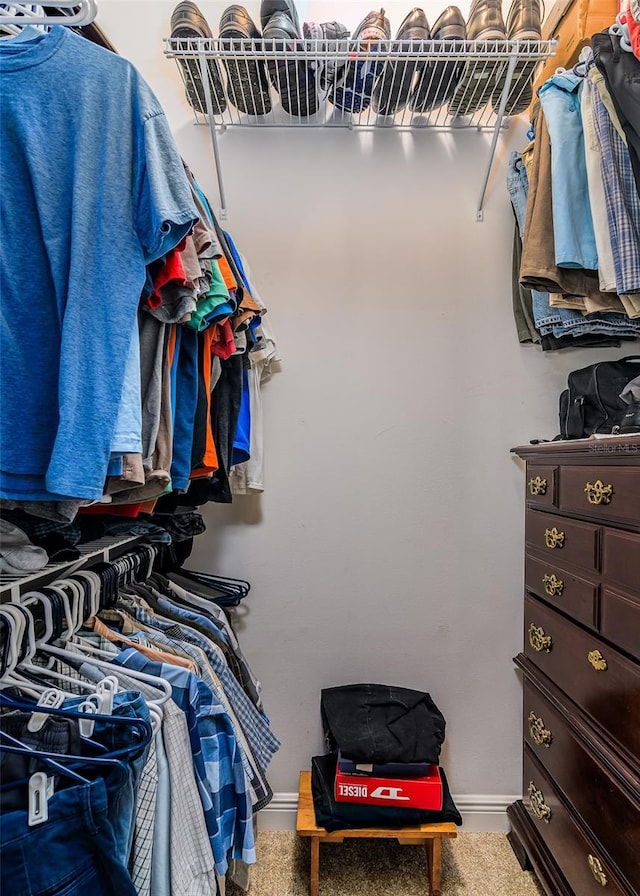 walk in closet featuring carpet floors