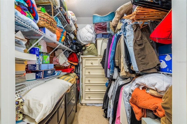 spacious closet featuring light carpet