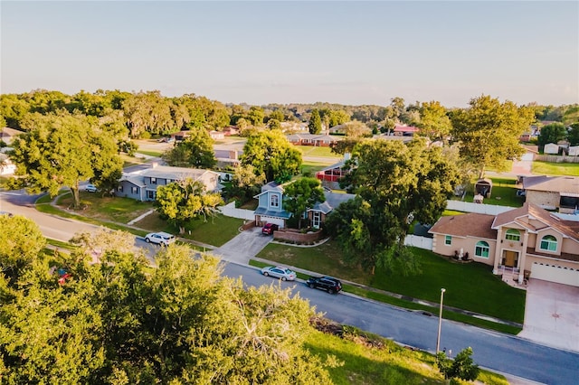 aerial view