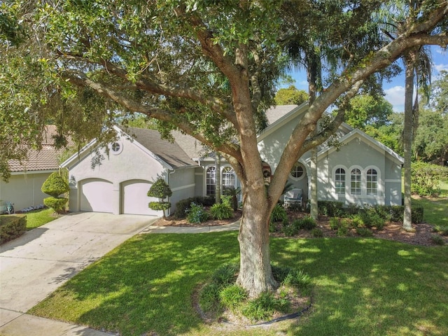 view of front facade featuring a front lawn and a garage