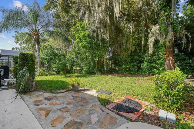 view of yard featuring a patio