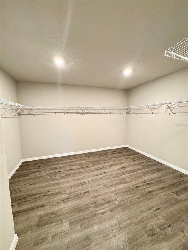 spacious closet featuring dark hardwood / wood-style flooring