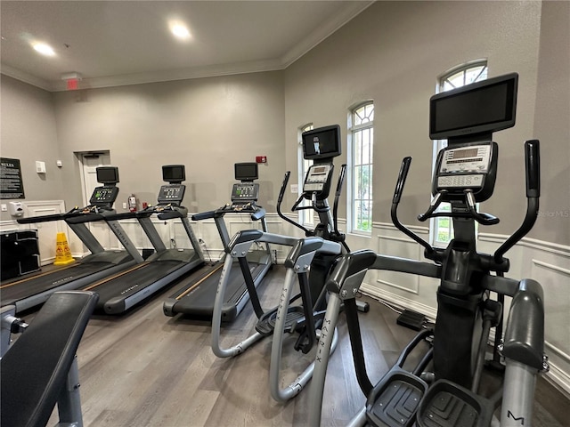 workout area with a wainscoted wall, wood finished floors, and ornamental molding