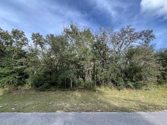 TBD SW 146th Lane Rd, Ocala FL, 34473 land for sale