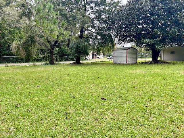 view of yard with a storage unit