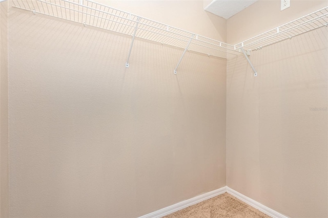 spacious closet with carpet floors