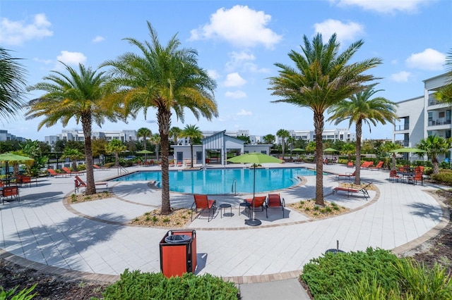 view of pool featuring a patio area