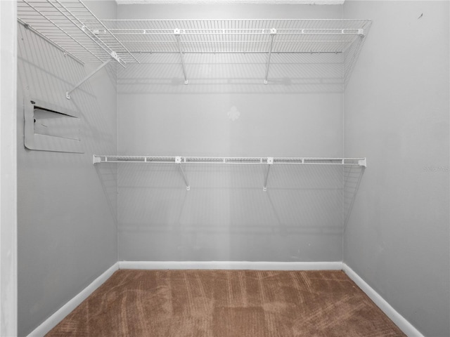 spacious closet with carpet