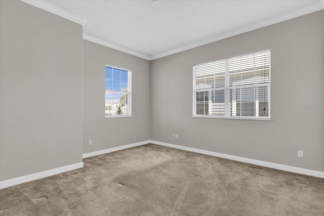 unfurnished room featuring crown molding and carpet flooring