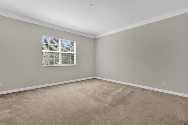 empty room with ornamental molding, a textured ceiling, and carpet flooring