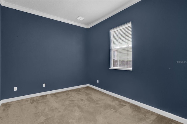 spare room with carpet, a textured ceiling, and crown molding