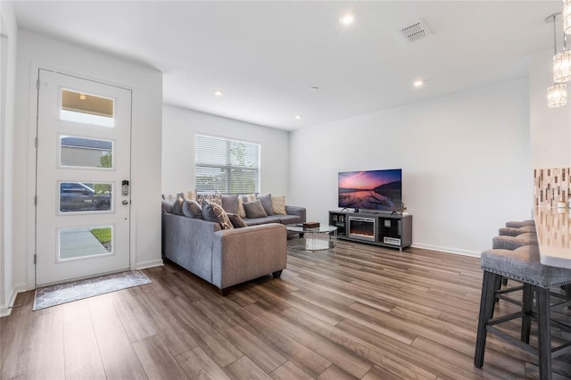 living room with hardwood / wood-style flooring