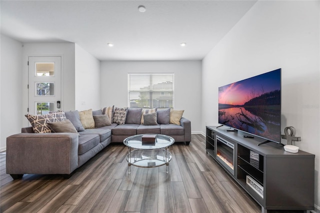 living room featuring hardwood / wood-style flooring