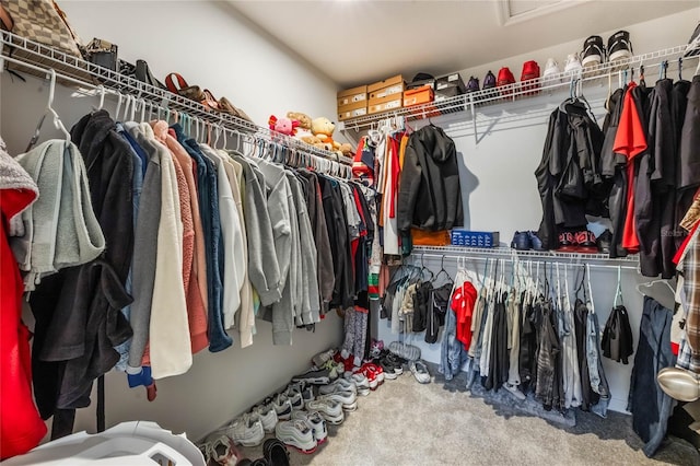 walk in closet with carpet floors