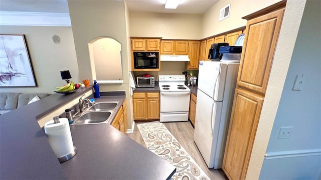 kitchen with white appliances, light hardwood / wood-style flooring, crown molding, and sink