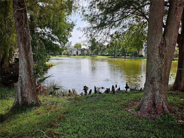 1916 Lake Atriums Cir Unit 25, Orlando, FL 32839 - water view