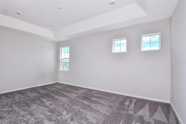 spare room with dark carpet and a raised ceiling