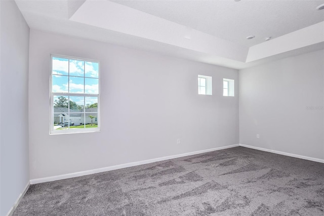 unfurnished room featuring a raised ceiling and carpet flooring