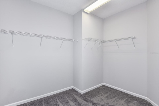 spacious closet featuring dark colored carpet