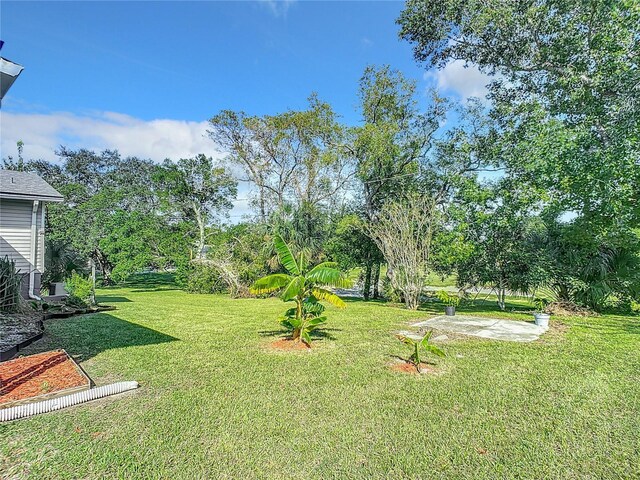2281 E Union Cir, Deltona, FL 32725 - view of yard