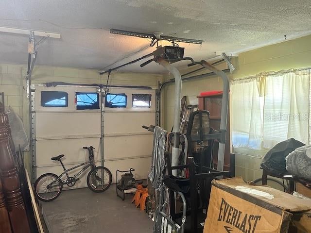 garage with a garage door opener