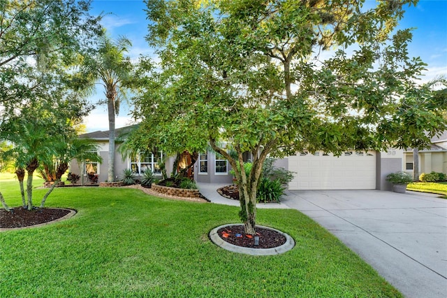 view of property hidden behind natural elements featuring a front lawn