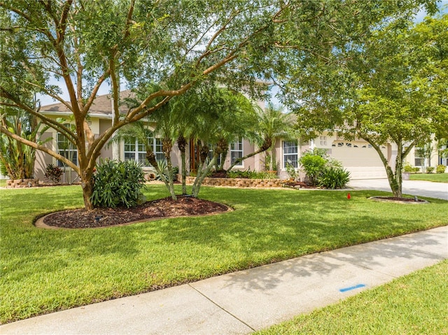 view of property hidden behind natural elements with a garage and a front yard