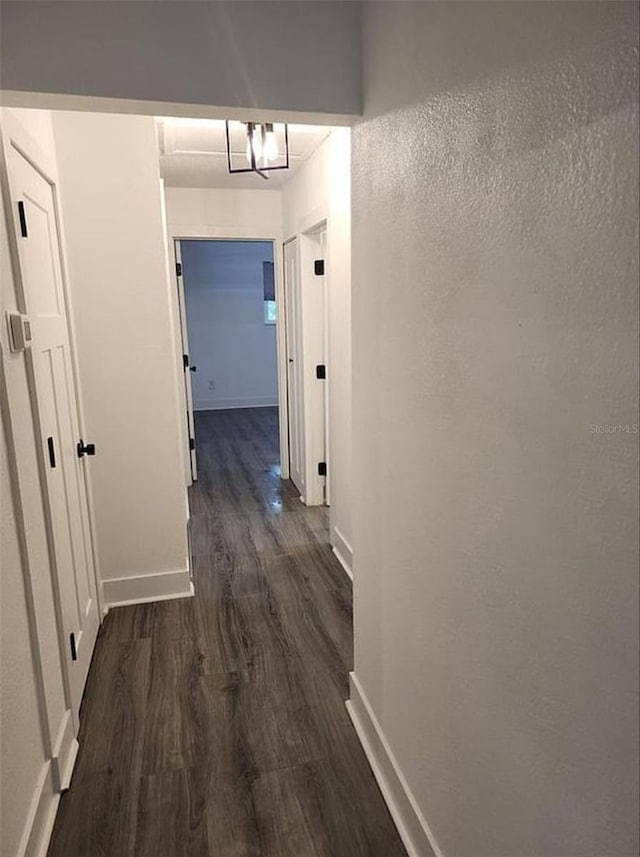 hallway with dark hardwood / wood-style floors