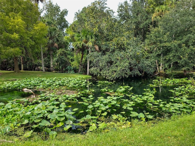 view of yard featuring a water view