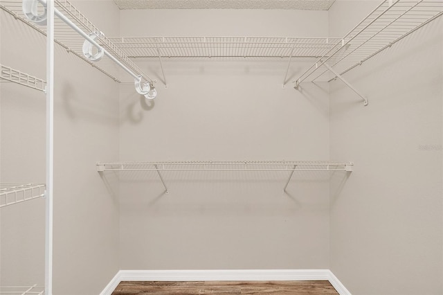 spacious closet featuring wood-type flooring