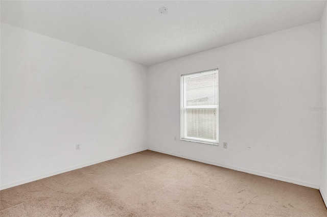 spare room featuring carpet and a textured ceiling