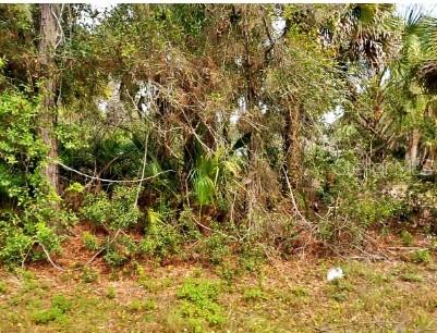 Listing photo 2 for 0 Ashland Ln, North Port FL 34286