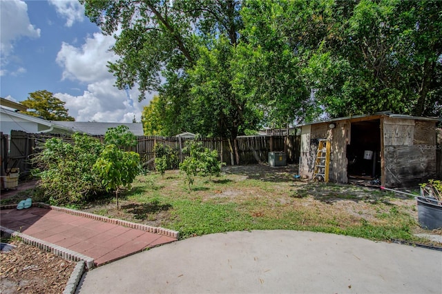 view of yard with a patio area and a shed